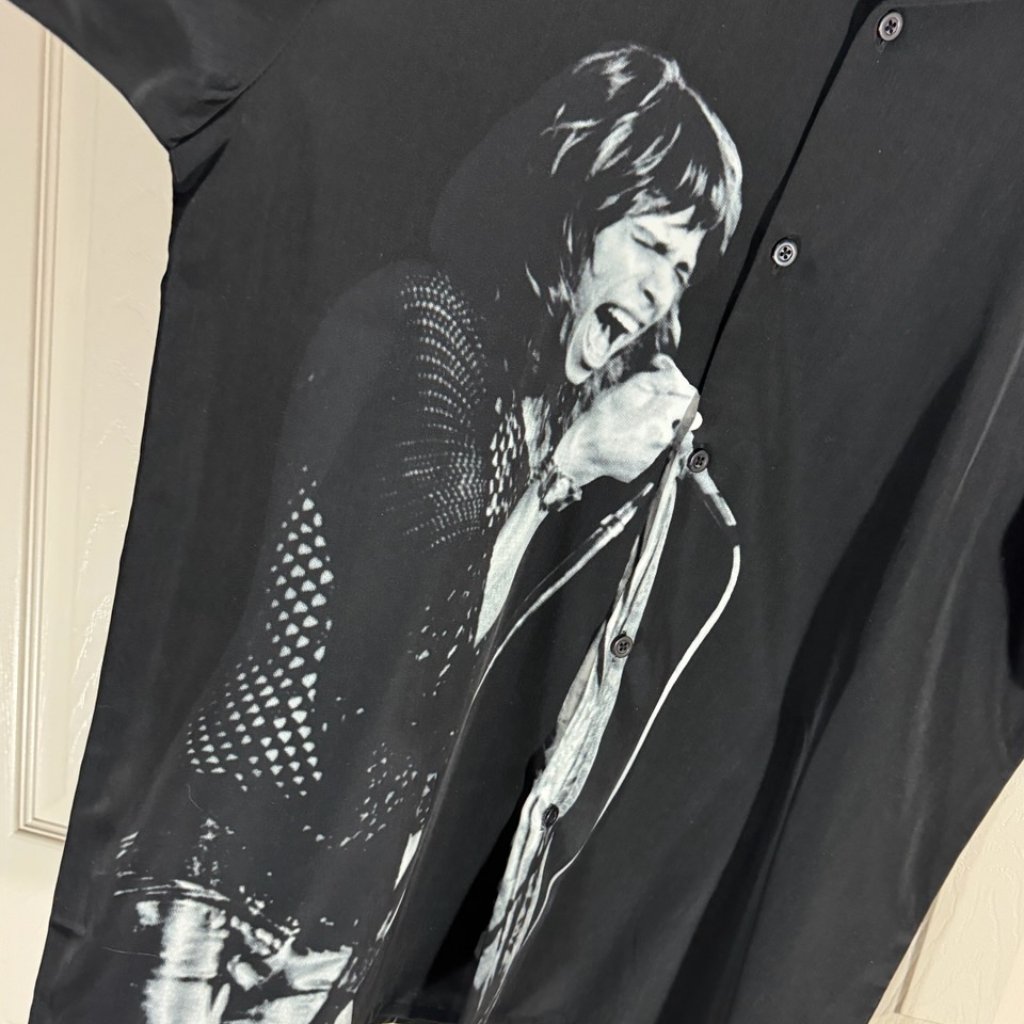 Vintage Disney Aerosmith Steven Tyler Mens Button Down Rock N Roller Coaster